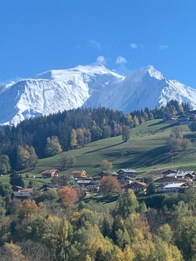 Chalet Mont Blanc Combloux Exteriör bild